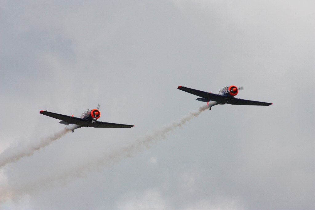 Airpower 2009 Zeltweg