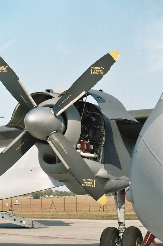 CIAF 2008