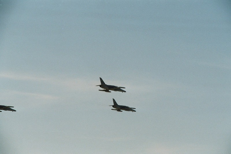 CIAF 2008