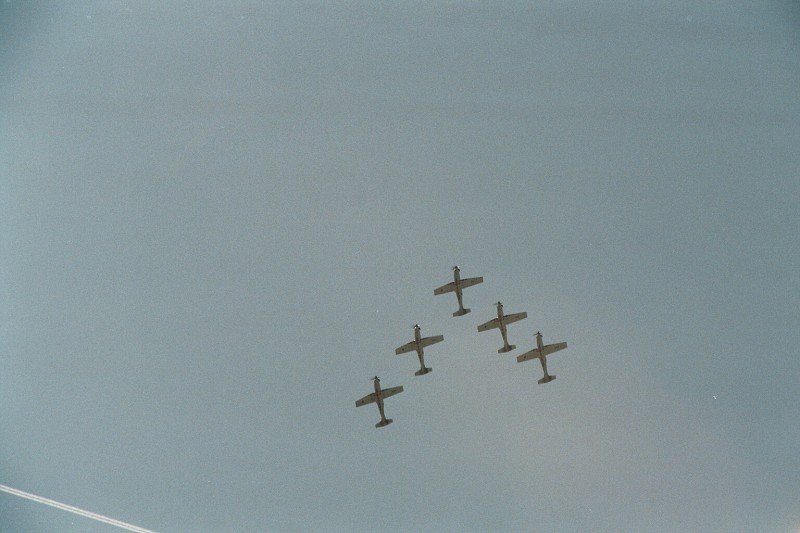 CIAF 2008