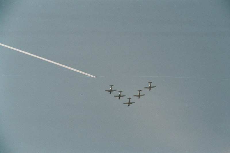 CIAF 2008