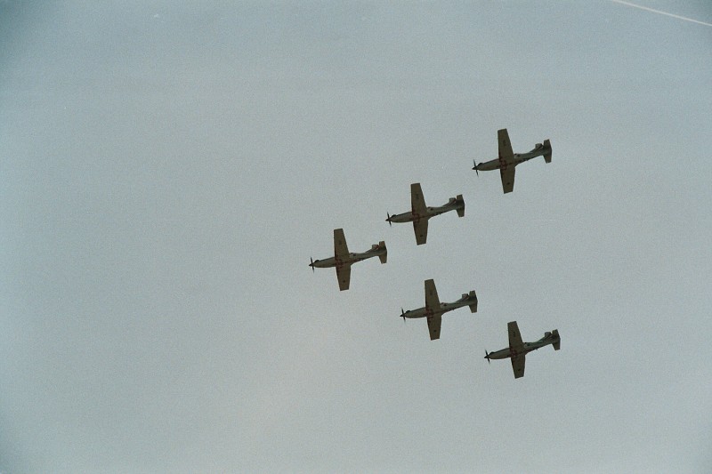 CIAF 2008