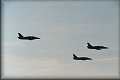 CIAF 2008