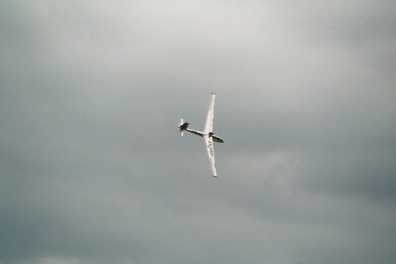 Náměšť nad Oslavou 2008