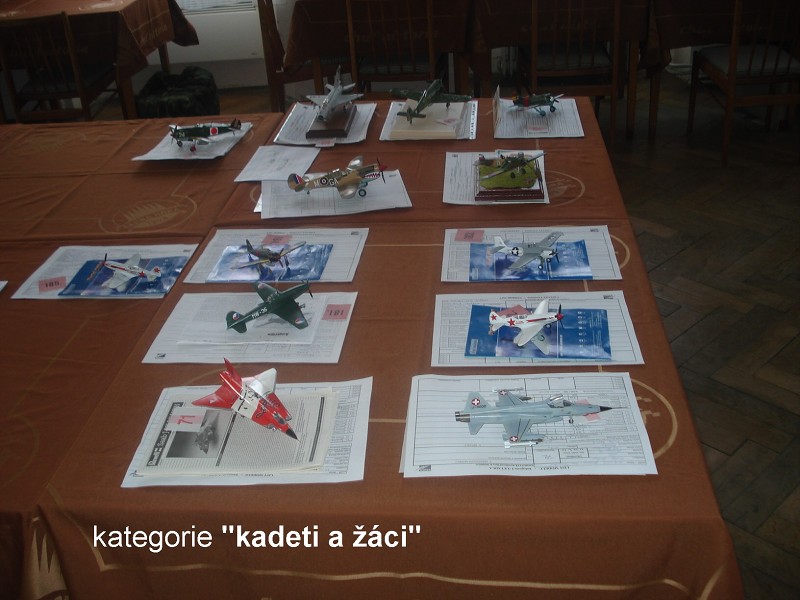 Brněnec 2013