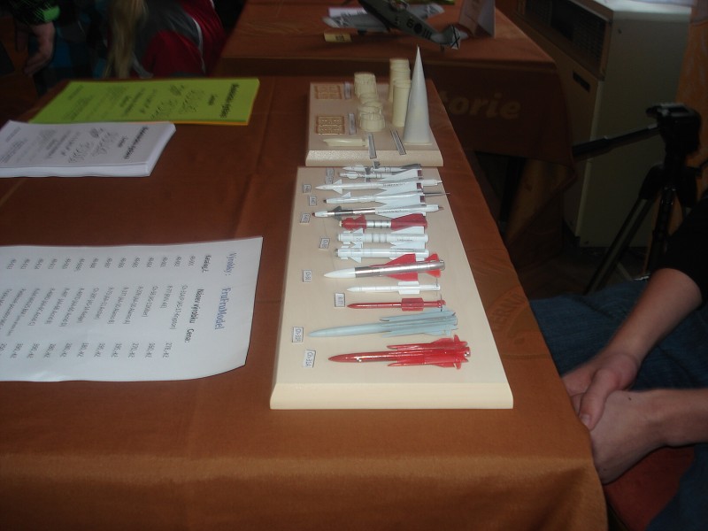 Brněnec 2013