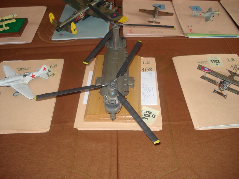 Brněnec 2013