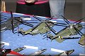ModelBrno 2010