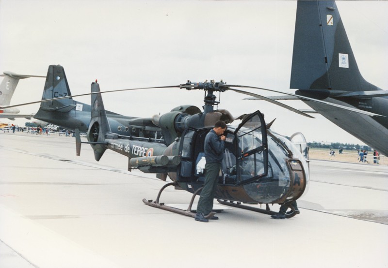 Gazelle