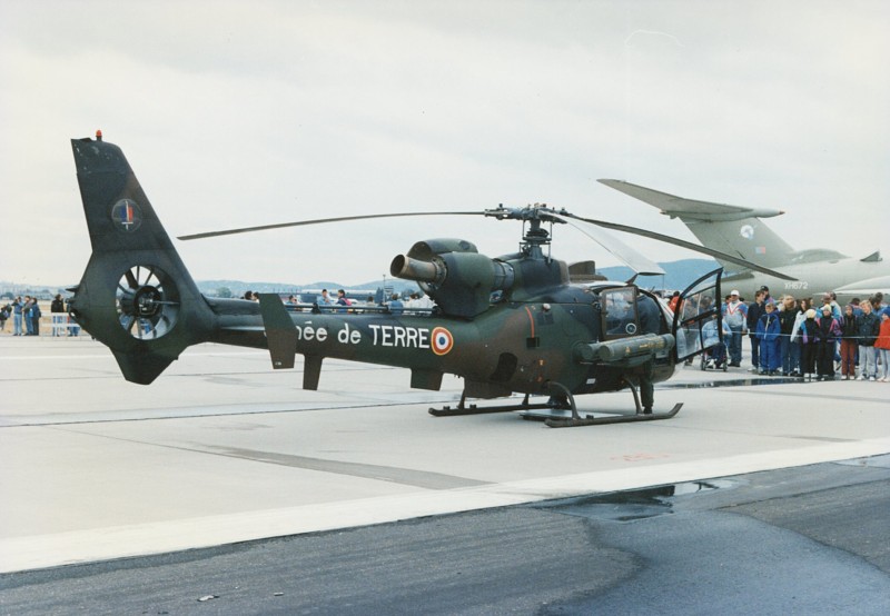 Gazelle