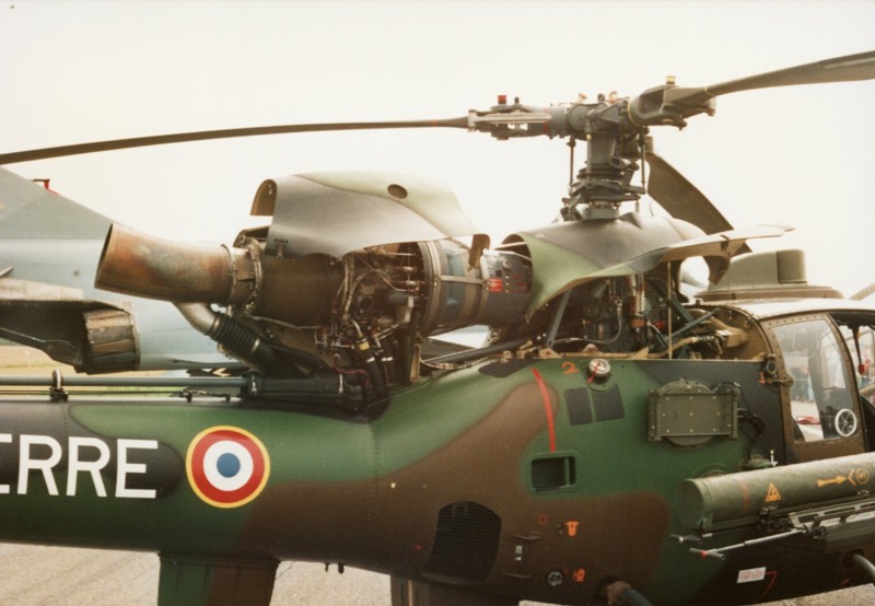 Gazelle