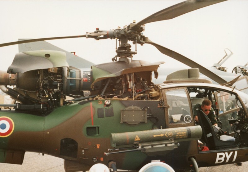 Gazelle