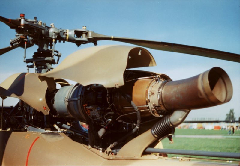 Gazelle