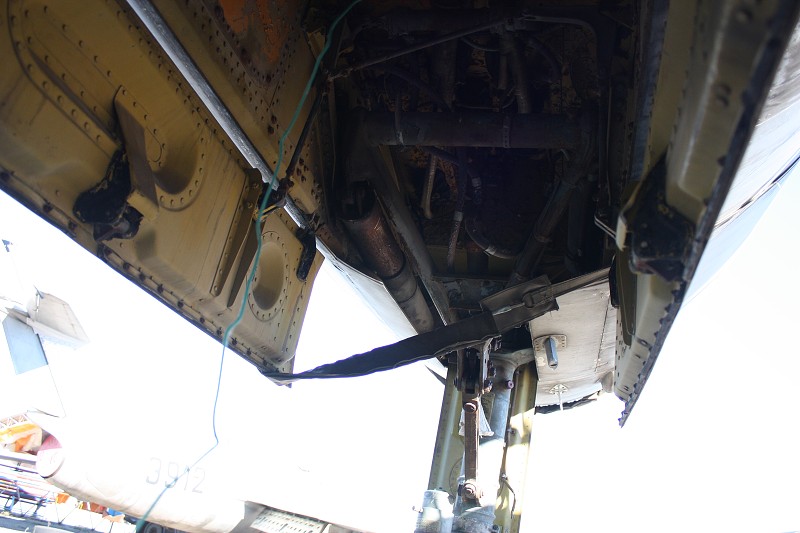 Il-28 Beagle
