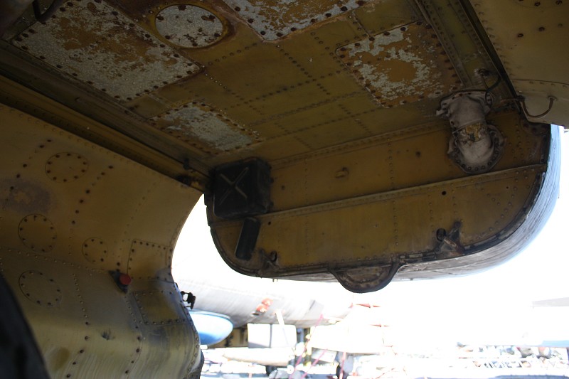 Il-28 Beagle