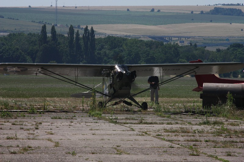 Piper L-4H Grasshopper