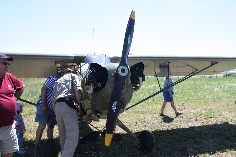 Piper L-4H Grasshopper